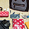 20111103-PURSE-PURGE-THUMB
